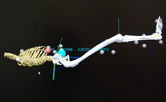 Lab diagram