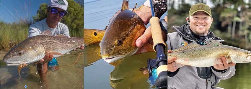 Two people holding fish and a fish up close.