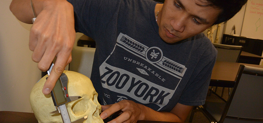 Male student working with knife on a skull