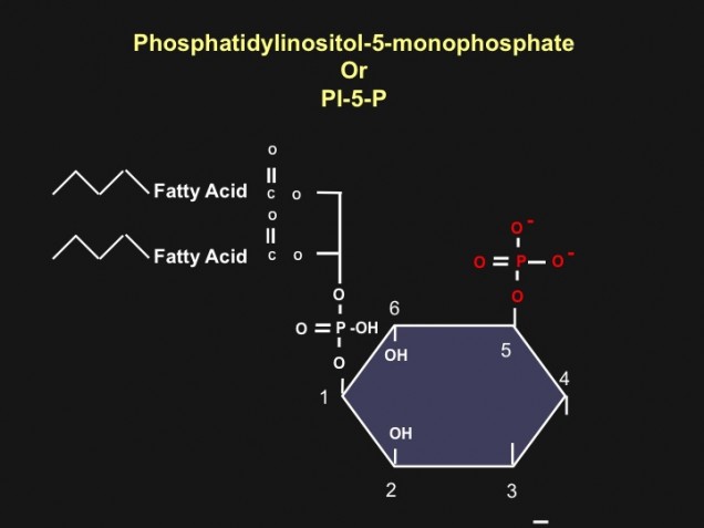 chemical model