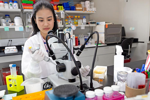 Chanakan “Nam” Suwanbongkot, Ph.D., a 2026 alumna of the Whiddon College of Medicine's Basic Medical Sciences Graduate Program, is studying the transmission of tick-borne bacteria.