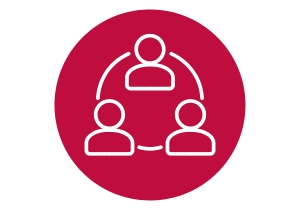 Connect icon