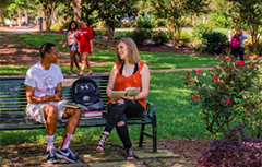 Students sitting outside on bench