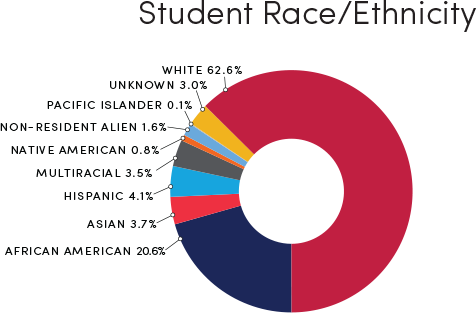 Student Race/Thnicity*-