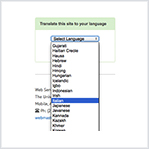 Website Translator