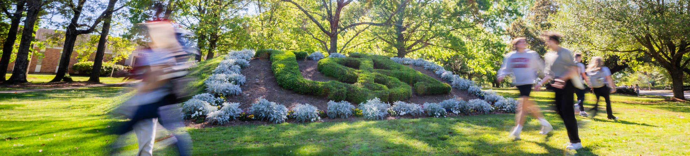 South students walking near USA sign on lawn.
